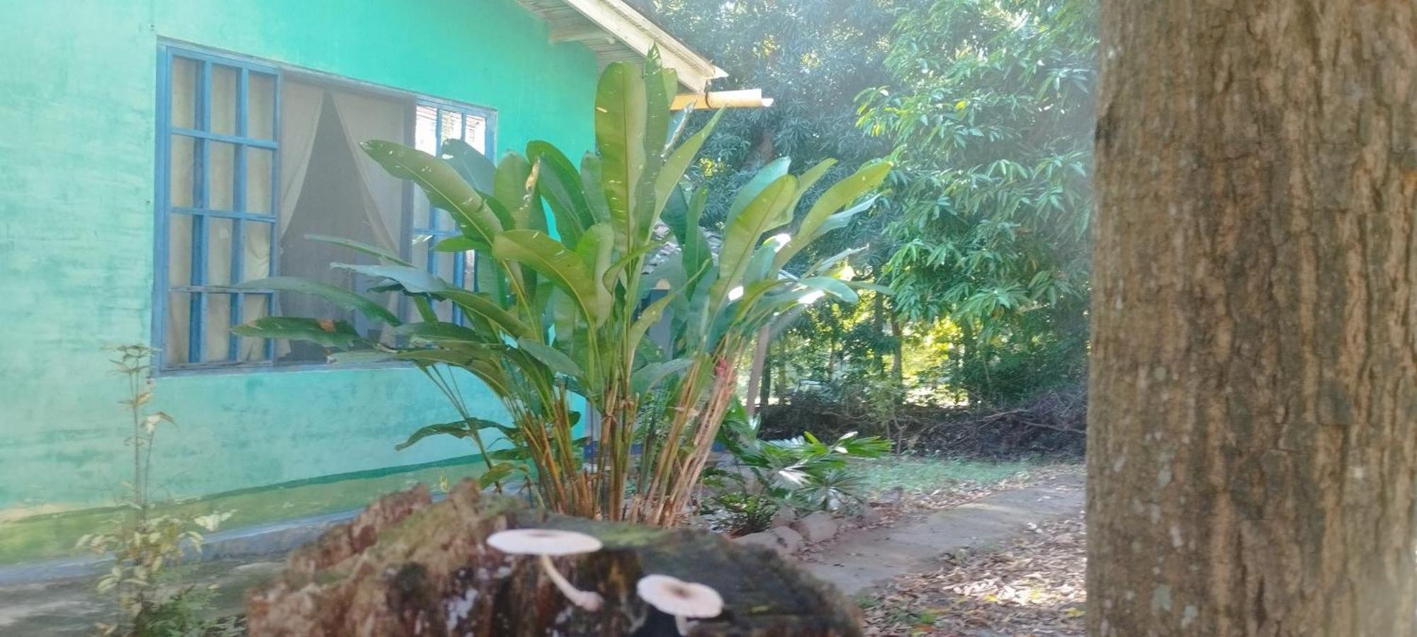 Hostal Juan Lindo Сан Педро Сула Екстериор снимка